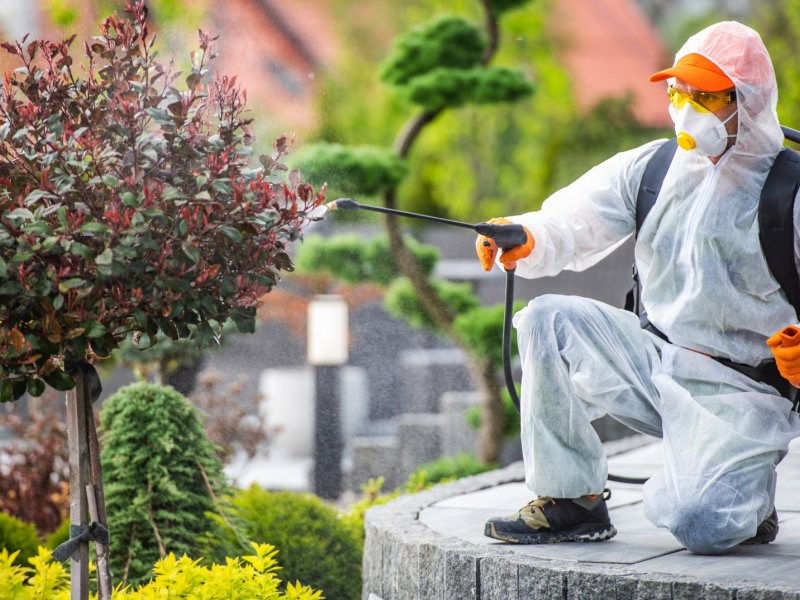 Evren Haşere İlaçlama